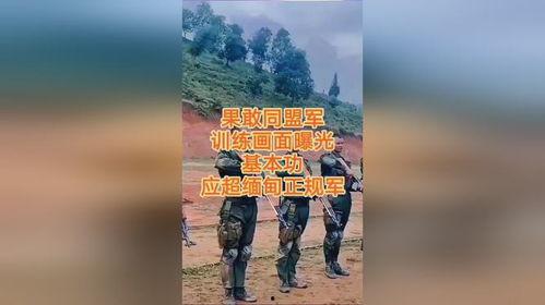 爆料缅北高清视频下载,震撼爆料背后的真相